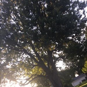 Meet your Posher, Josie